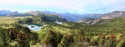 July 2023 - Sunshine Meadows