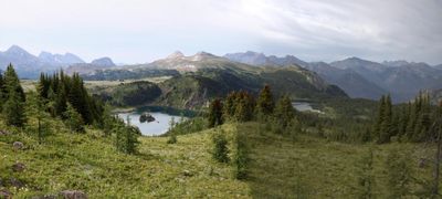 July 2023 - Sunshine Meadows