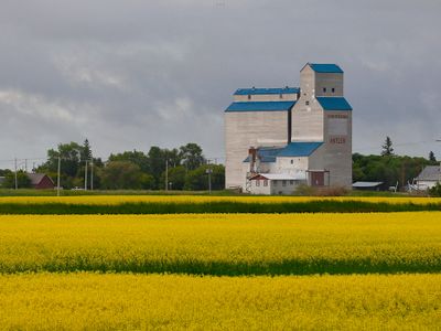Mark Collard 003 Grain Elevator, Antler, Saskatchewan
