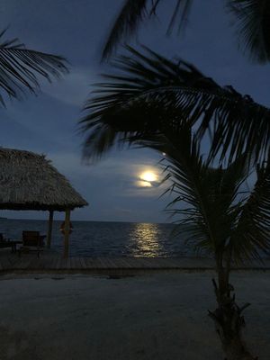Lorraine Hill 002 Full Moon Rise (Belize)
