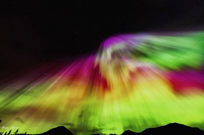 Nicola Morson 004
