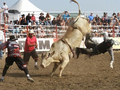 Jan Mosimann - 002 - Hooved Animals