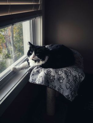 g13/94/970794/3/175110777.20340a2c.JPEG