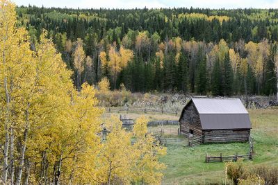 Lorraine Hill - 001 - Fall Colours