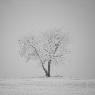 Guy Kerr - 001 - Favourites