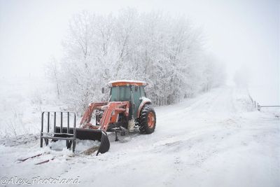Alex Dunkley 002 Winter