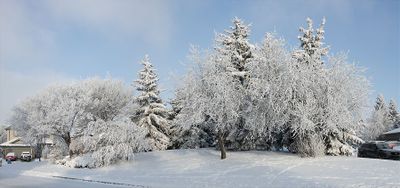 Bruce Smith 001 Winter
