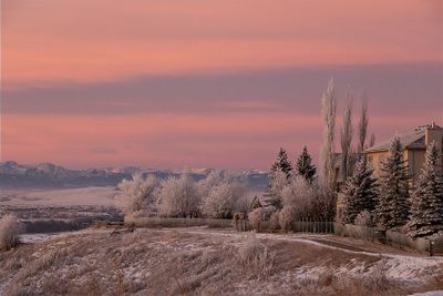 Bruce Smith 003 Winter