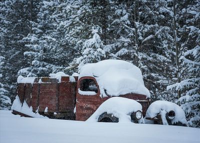 January 2025 - Winter or Light Up