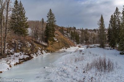 David Impey 004 Winter