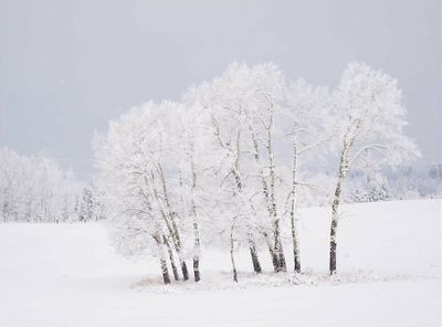 Guy Kerr 001 Winter