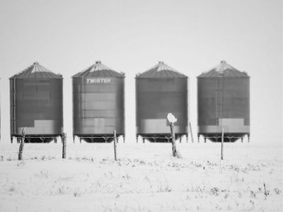 guy kerr 005 Winter