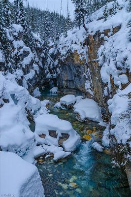 Khalid Qureshi 002 Winter