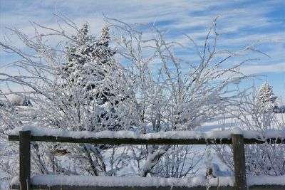 Lorraine Hill hill 002 Winter
