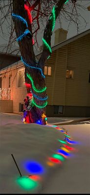 Mark Collard 005 Light Up