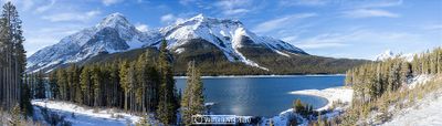 Walter Howor 005 Winter