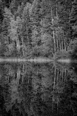 Cal Hill 002 Black and White