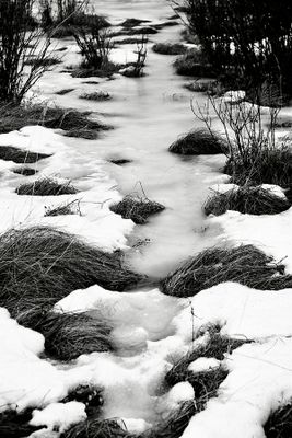 doug orr 004 Black and White