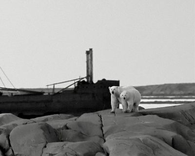 Finn and Beatrice Jakobsen 003 Black and White