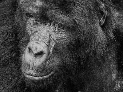 Guy Kerr 003 Black and White