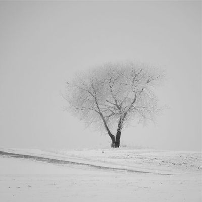 Guy Kerr 004 Black and White