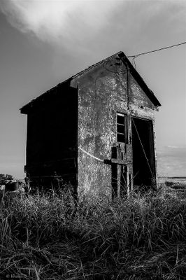 Khalid Qureshi 001 Black and White