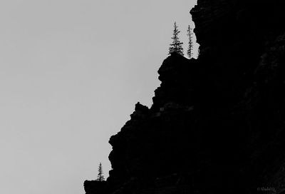 Khalid Qureshi 004 Black and White