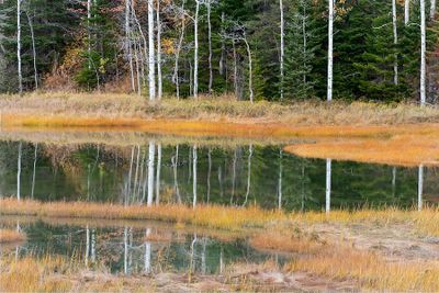 Guy Kerr 002 Reflections