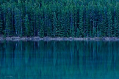 Khalid Qureshi 002 Reflections