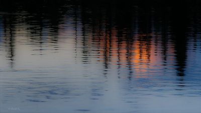 Khalid Qureshi 003 Reflections