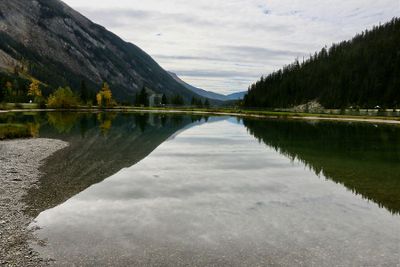 Lorraine Hilll 002 Reflections