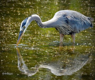May 2025 - Reflections