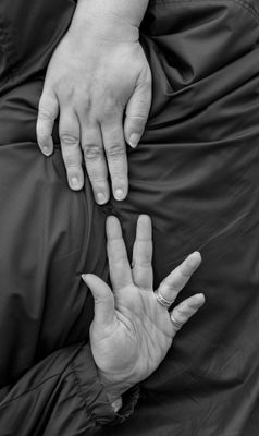 Hands