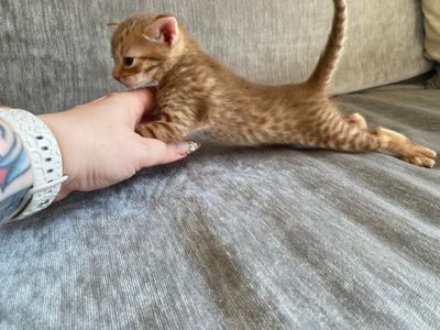 Spots all over
