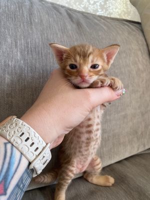 <3