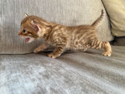 Mommy!