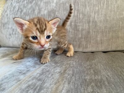 Cuteness overload