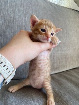Baby tummy