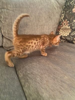 Out on adventure