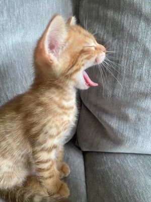 Yaaawn, photo shoot is soooo boring!