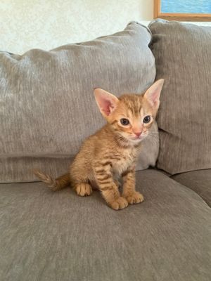 Posing nice
