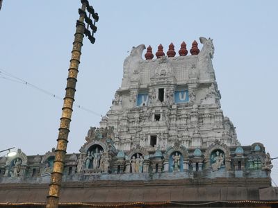 C1013863.JPG