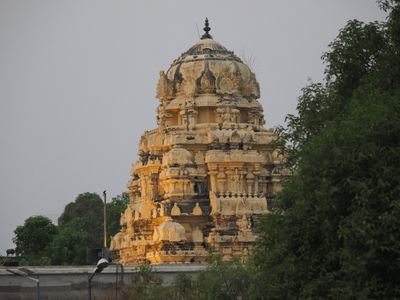 C1013866.JPG