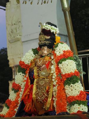 C1013922.JPG