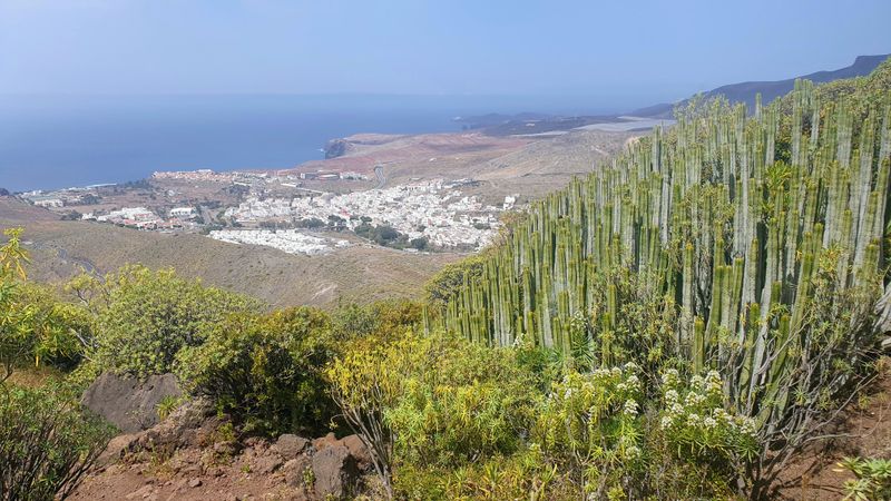 Mar 23 Gran Canaria Looking to the end of the hike in the north at Agaete