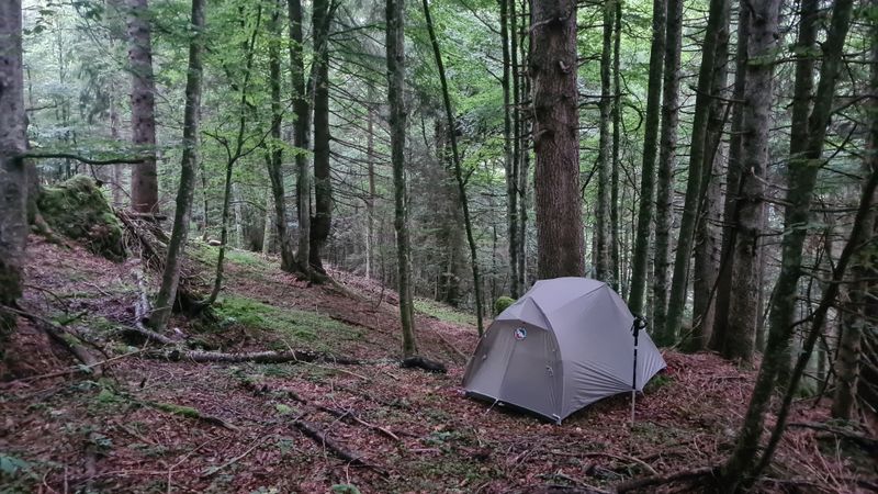 Camp in the woods near Passo Ceredas