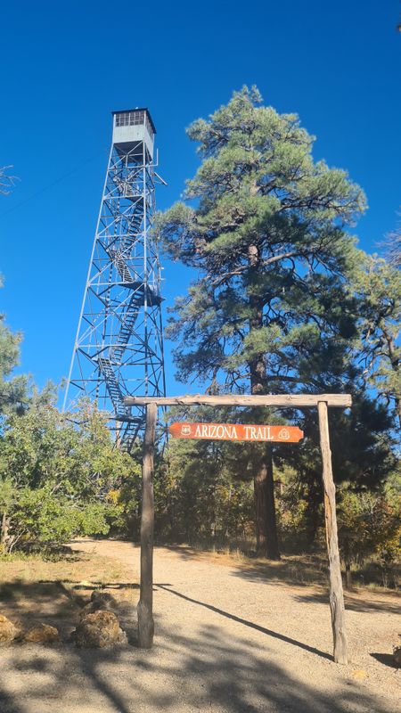 Part 2 South Rim to Flagstaff 14th October