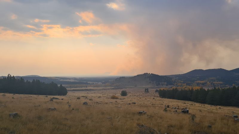 Signs of forest fire ahead north of Flagstaff