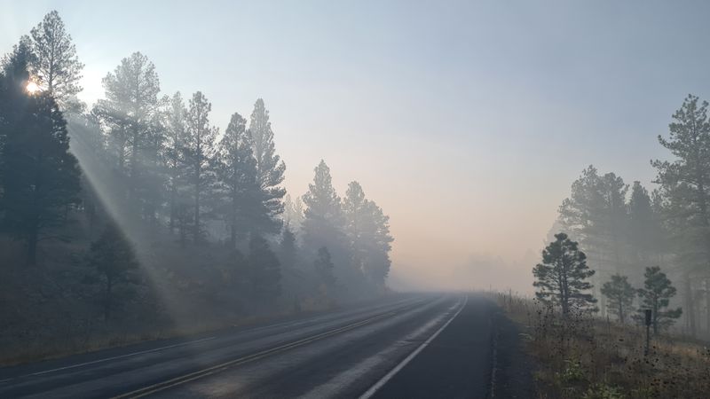 Early morning smoke from a prescribed fire