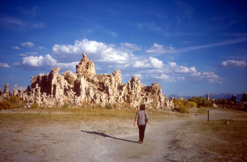 Mono Lake Martina